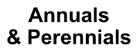 Annuals & Perennials